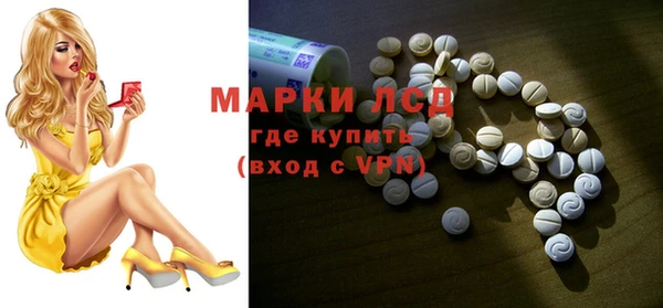 стаф Нея