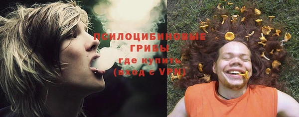 стаф Нея