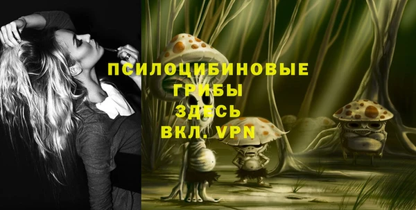 прущий лед Надым