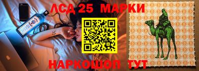 гашик Бийск