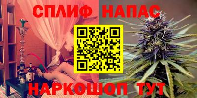 гашик Бийск