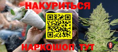 гашик Бийск