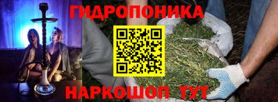 гашик Бийск