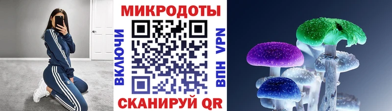 Галлюциногенные грибы Cubensis  сайты даркнета наркотические препараты  Кизилюрт 