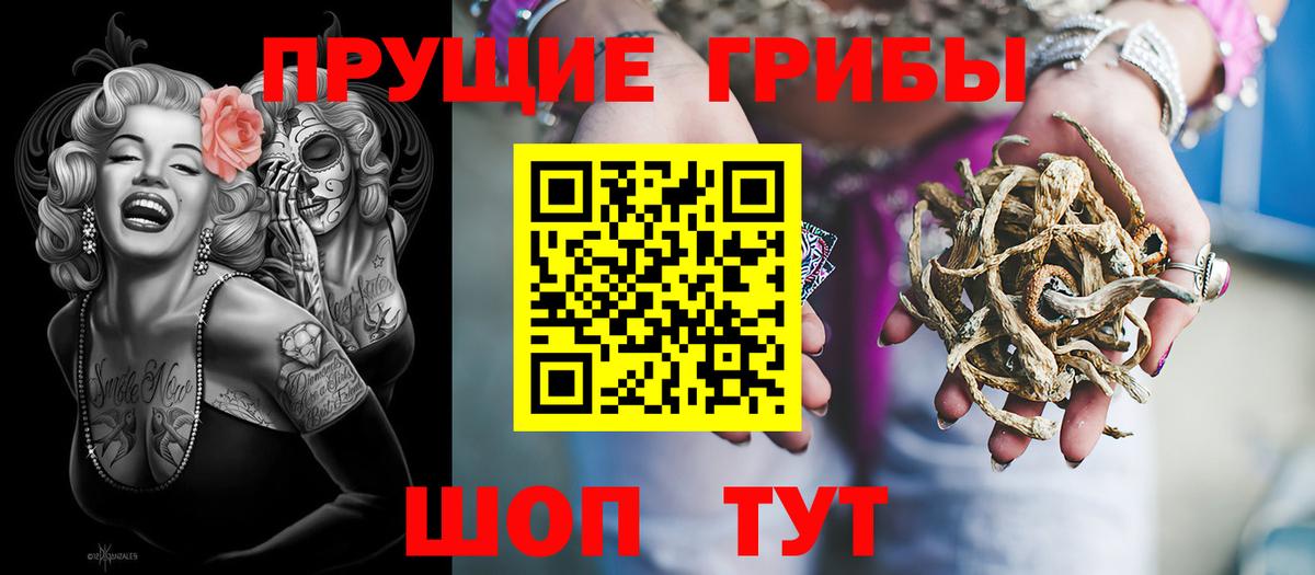 Галлюциногенные грибы GOLDEN TEACHER Кизилюрт