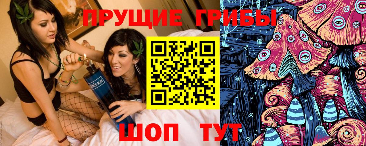 Псилоцибиновые грибы GOLDEN TEACHER Кизилюрт