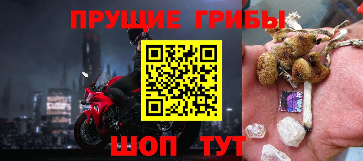 хочу   Псилоцибиновые грибы Psilocybe  Вход с VPN  Кизилюрт 